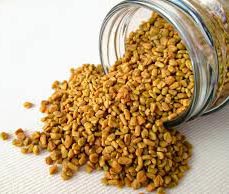 Organic Fenugreek Seeds, Shelf Life : 1year