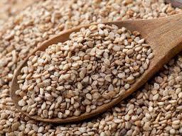 Organic Sesame Seeds, For Agricultural, Purity : 100%