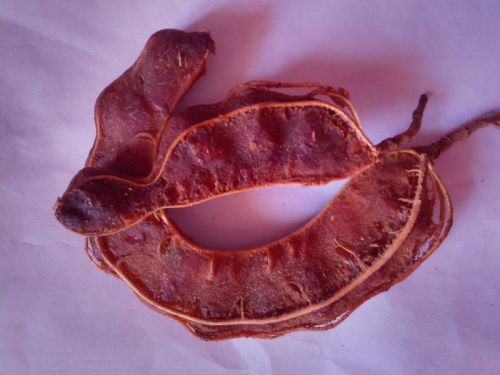 Tamarind Seed, Packaging Type : Packet