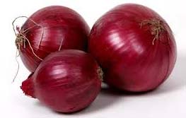 Fresh Red Onion, Packaging Type : Jute Bags, Net Bags, Plastic Bags