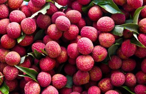 Organic Fresh Lychee, For Food, Juice, Feature : Fat Free, Sweet