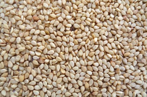 Organic sesame seeds, Packaging Type : Grey