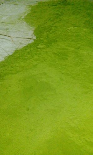 Moringa leaf powder, Packaging Type : Light Green
