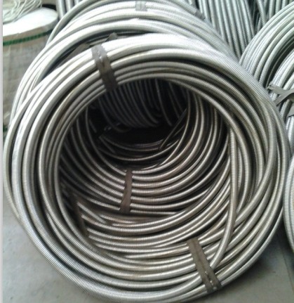Flexible Hose