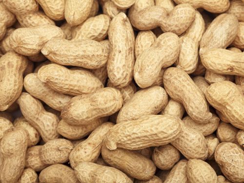 Groundnuts