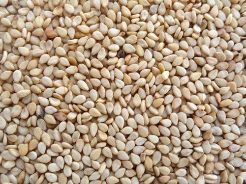 Natural Sesame Seeds