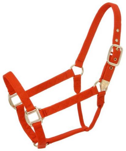 Nylon Halters
