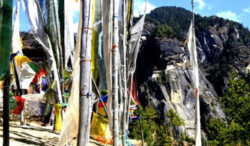 Mountain Journey Services