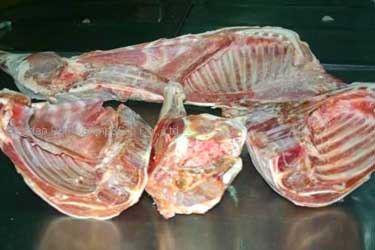 4 Cuts Lamb