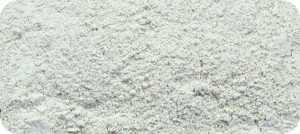 Dehydrated garlic powder, Odor : Fresh, Clean