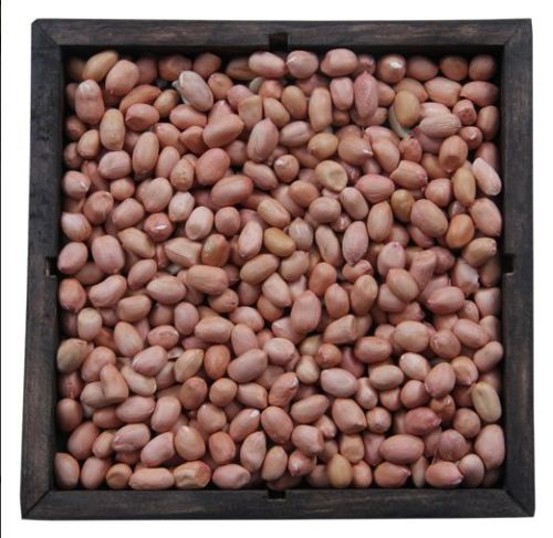 Java Peanut Kernels