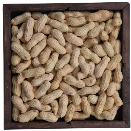 Common Shelled Peanuts, For Making Flour, Making Oil, Making Snacks, Packaging Type : Gunny Bag, Jute Bag