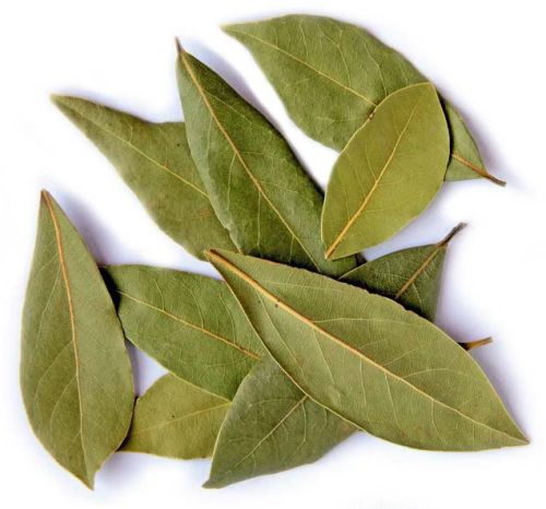 Bay Leaves