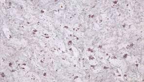 Moon White Granite