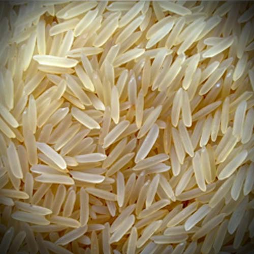 Kolam Rice