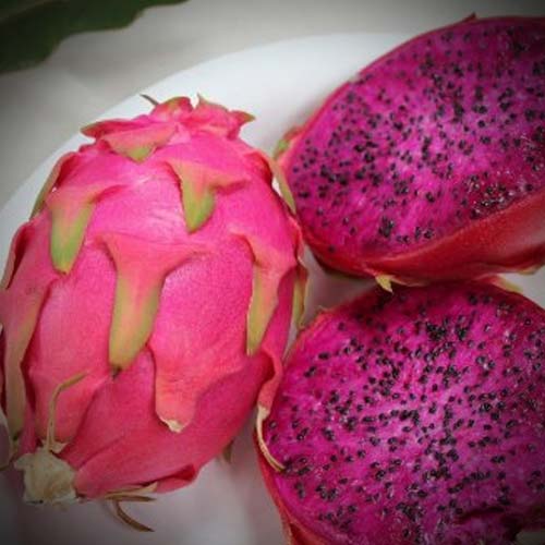 Organic Fresh Dragon Fruit, Shape : Round