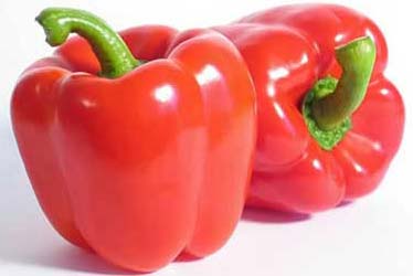 Fresh Red Capsicum