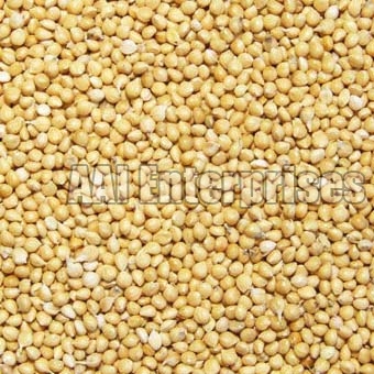 Millet Seeds