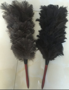 Ostrich Feather Duster