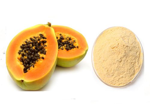 Papaya Powder