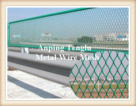 Expanded Metal Fencing Panels, Brand Name : Tenglu