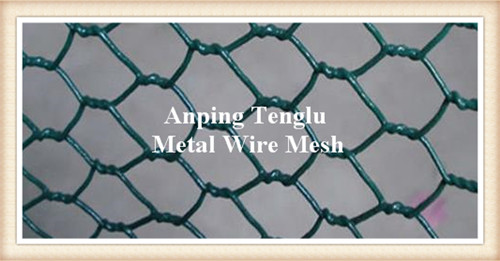 Green Coated Chicken Wire, Brand Name : Tenglu