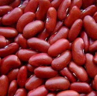 Dark red kidney beans