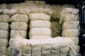 Sisal Natural Fiber