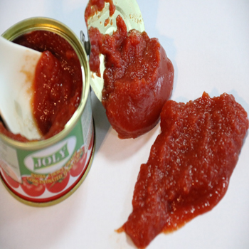 Pure Tomato Paste Hot Canned, Brand Name : tomatohong
