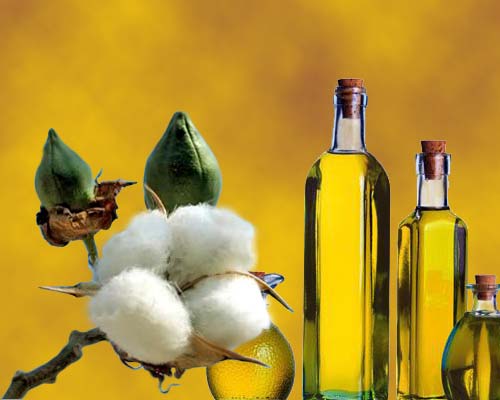 Cotton Solvent Oil