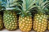Fresh pineapple, Packaging Type : yellow