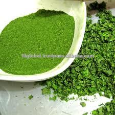 Moringa leaf powder, Brand Name : LTL global, Grade : AAAAA
