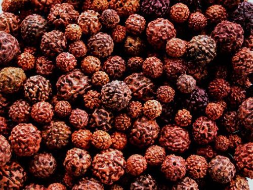 Rudraksha Beads