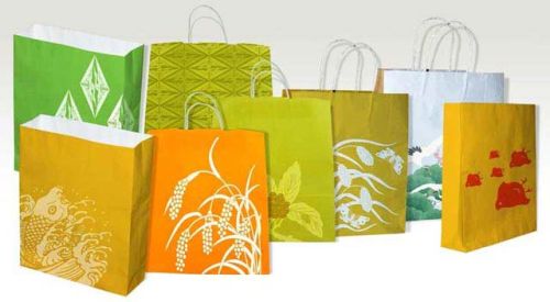 Printed Paper Carry Bags