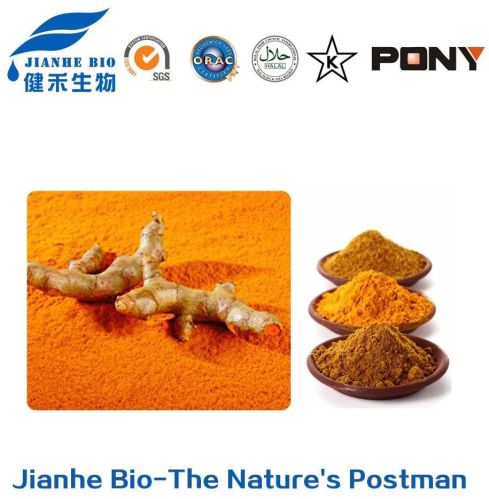 Turmeric Root Extract