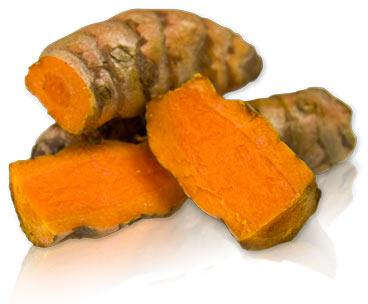 Fresh Turmeric, Brand Name : LTL Global