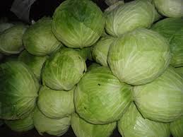 Fresh cabbage, Use : Use in Cooking