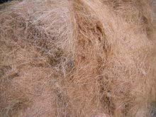 Coconut Coir Fiber