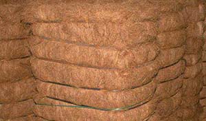 Coir Fiber, Fiber Length : 10 Cm To 25 Cm