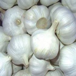 Garlic, Packaging Size : 20 Kg