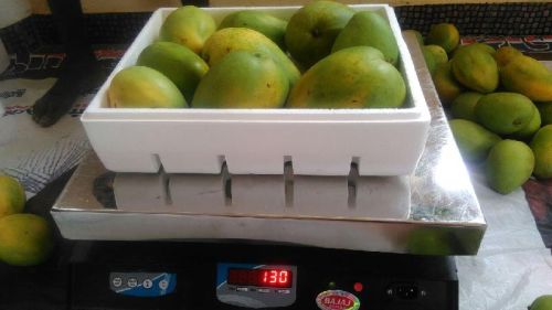 AHI INDIAN FRESH MANGOES, Packaging Type : 5, 3 KG CARTOON THERMOCOOL PACK