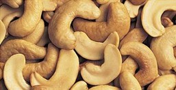 Cashew