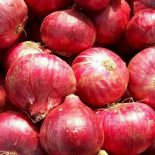 Red Onion