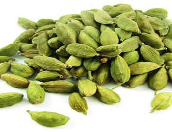 Cardamom