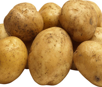 Potato