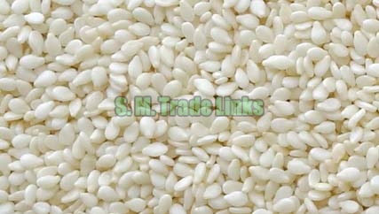 Organic Hulled Sesame Seeds, For Agricultural, Making Oil, Purity : 99.9%