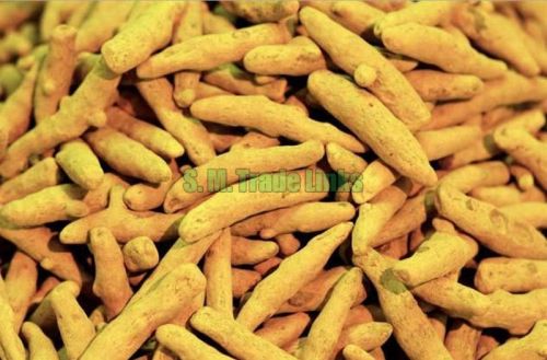 Organic Turmeric Finger, For Ayurvedic Products, Cooking, Cosmetic Products, Feature : Healthy For Skin