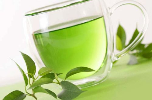 Organic Green Tea