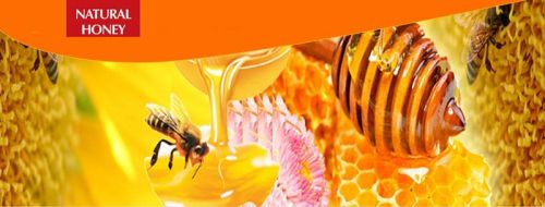 Natural Honey, For Personal, Clinical, Medicines, Taste : Sweet