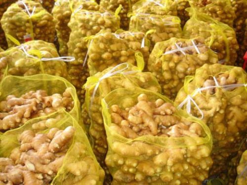 High Quality Fresh Organic Ginger